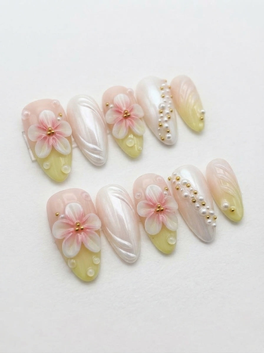 Pearl-like Cherry Blossoms(珍珠微光櫻花)