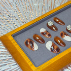 Jeweled Chestnut (寶石流鑽栗棕)