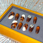 Jeweled Chestnut (寶石流鑽栗棕)