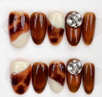 Jeweled Chestnut (寶石流鑽栗棕)